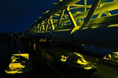 Yello night