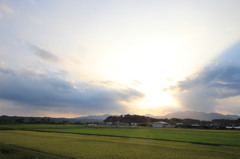 散歩道