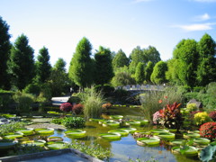 水生植物園