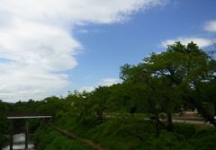 台風後の青空