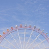 秋空に咲く。