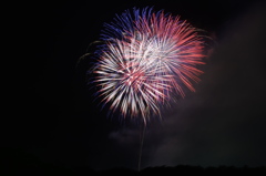 夜空に舞う。