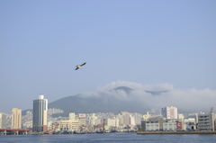 釜山港。