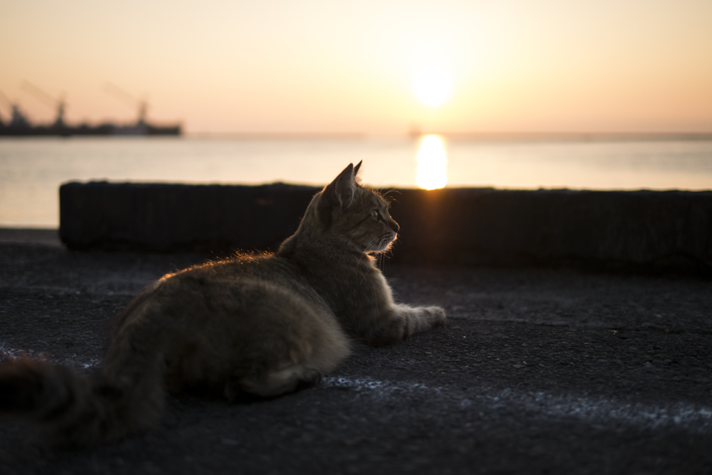 Get sunshine