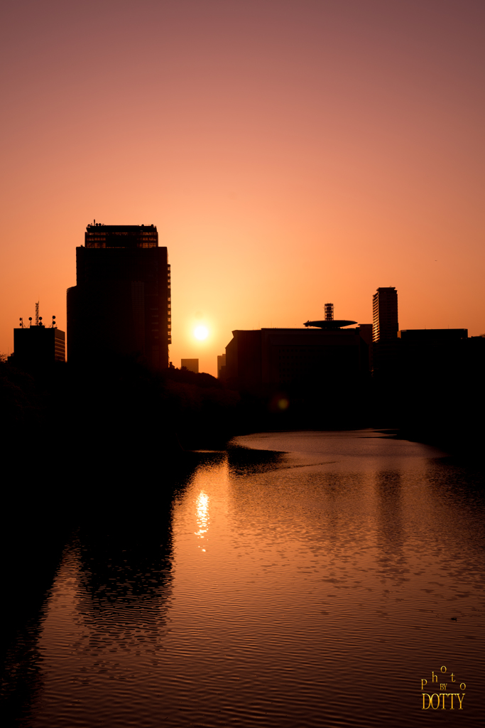 都会の夕日