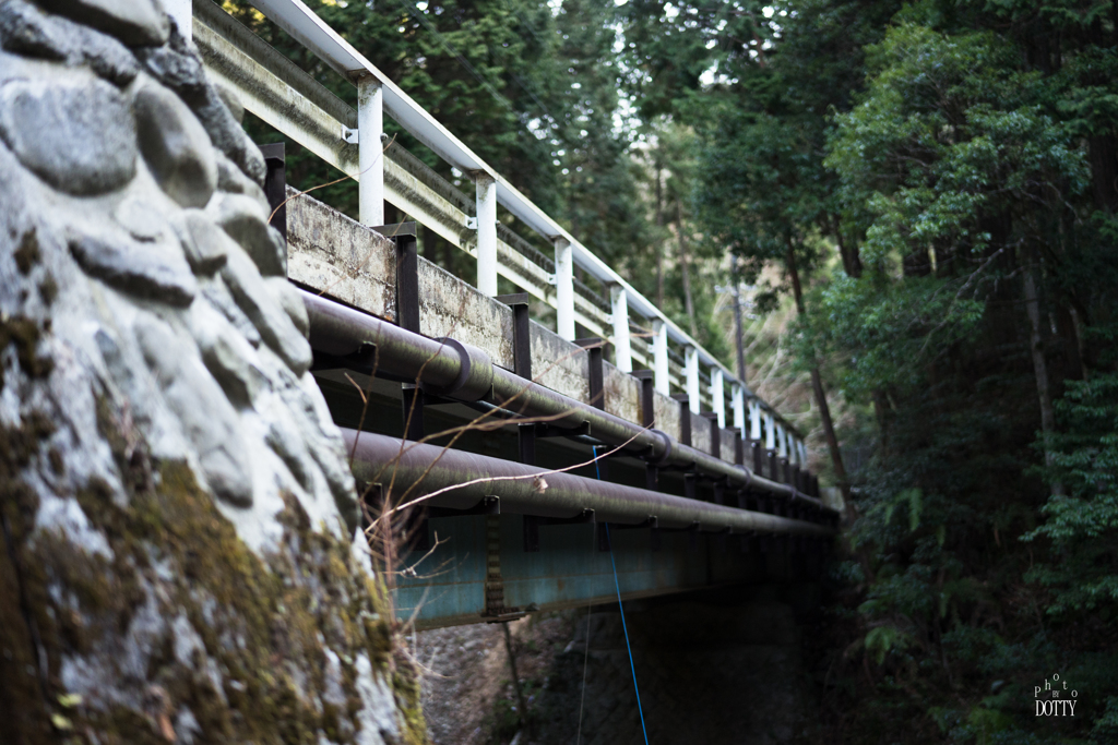 架け橋
