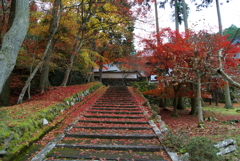 玉雲寺紅葉