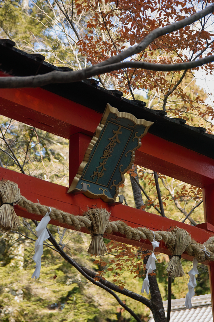 大原野神社３