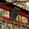 大原野神社３