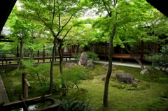 建仁寺　潮音庭