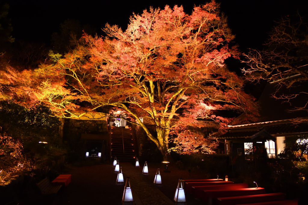 神蔵寺にて①