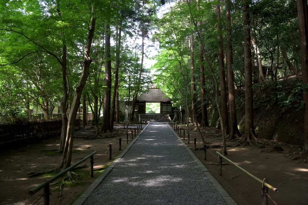 法念院