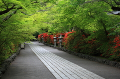 石山寺　赤と緑