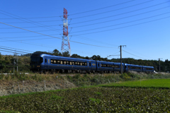 たんごのうみ