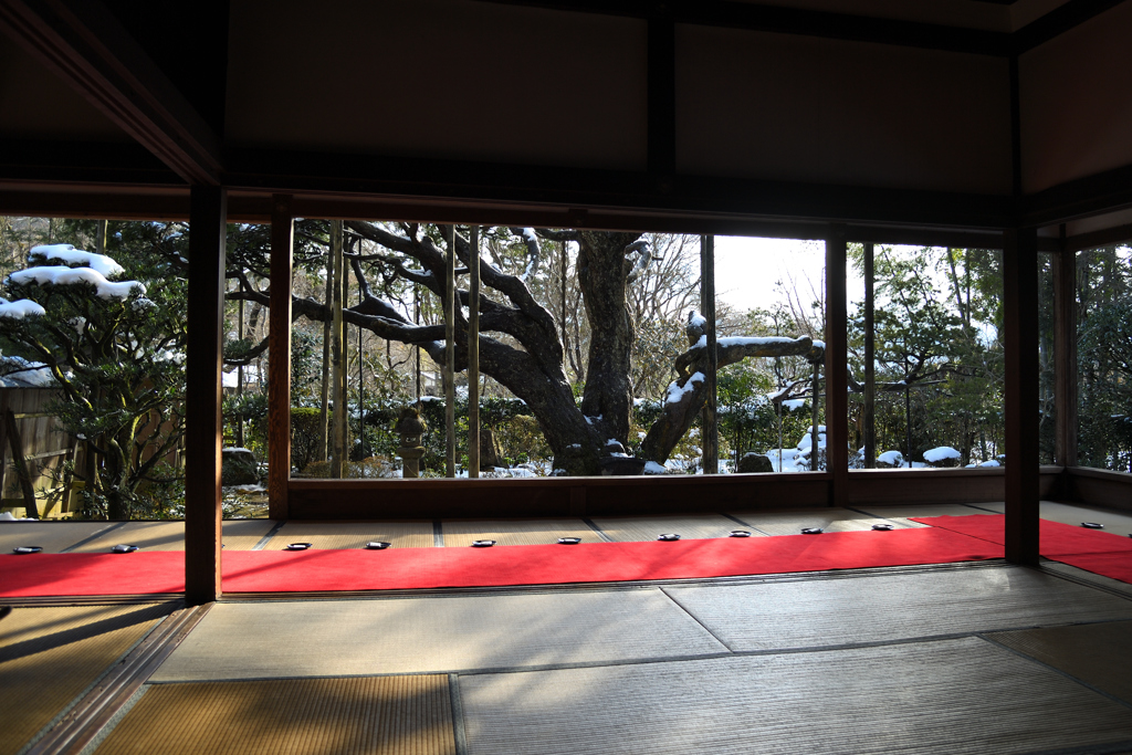 宝泉院