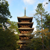 御室仁和寺　五重の塔