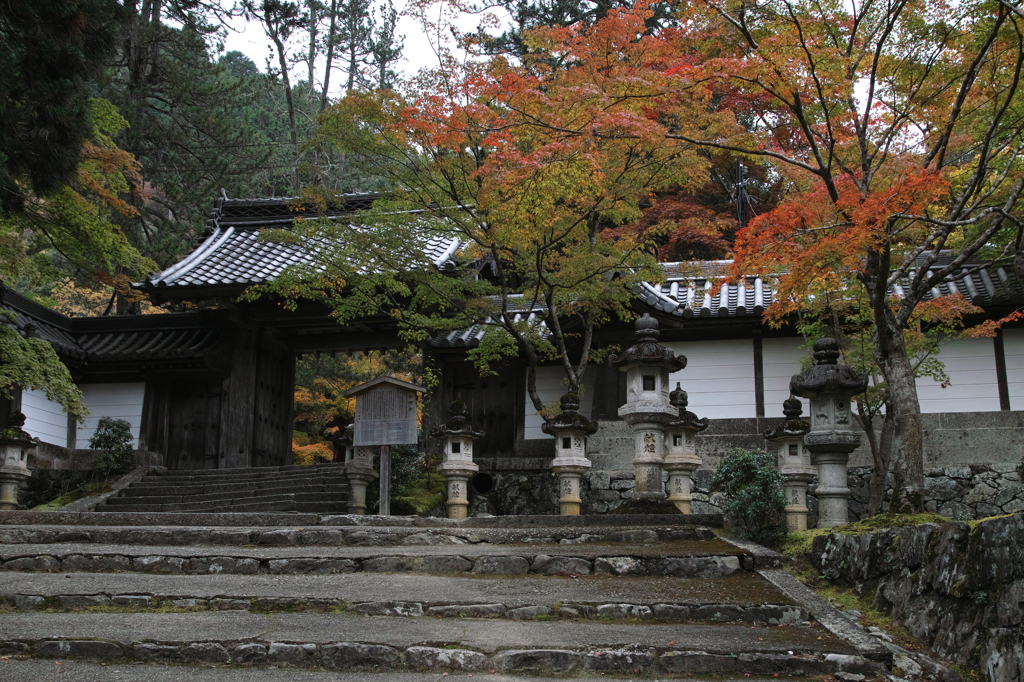 西明寺