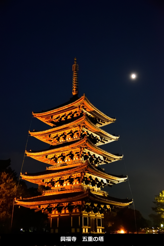 興福寺　五重の塔