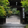 光明寺　門