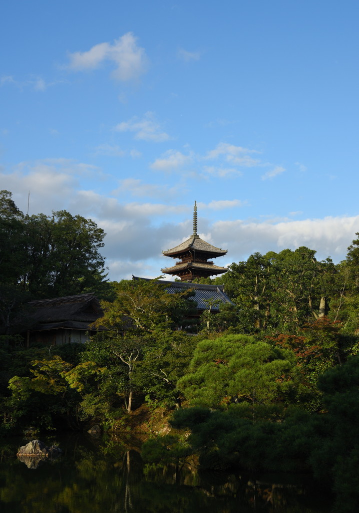 仁和寺　宸殿より