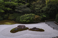建仁寺　石とコケ