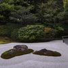 建仁寺　石とコケ