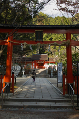 大原野神社２