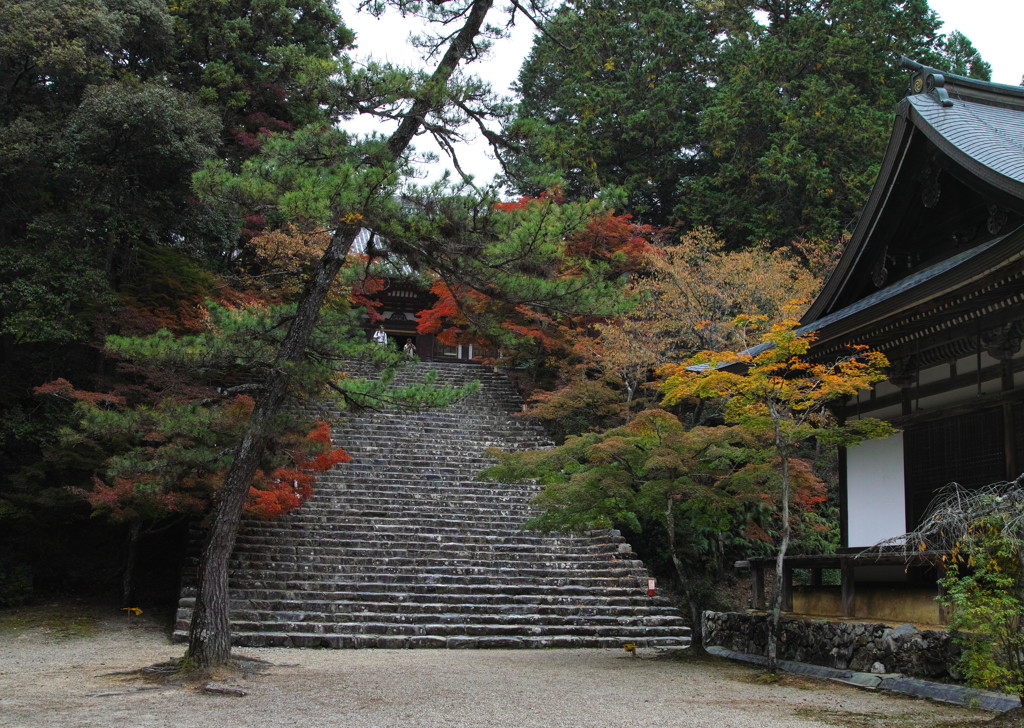 神護寺