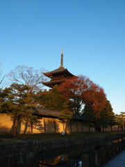 東寺　堀と塀と五重塔
