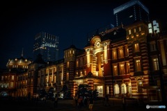 The  central station in Japan