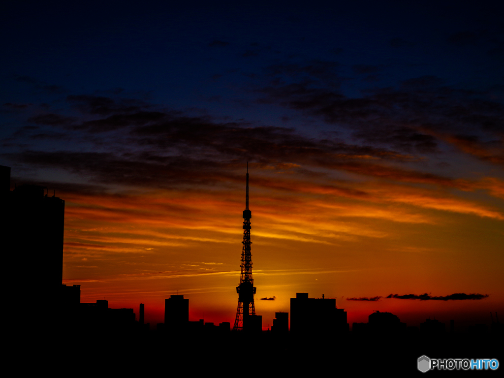 夜明けの東京タワー