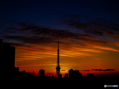 夜明けの東京タワー