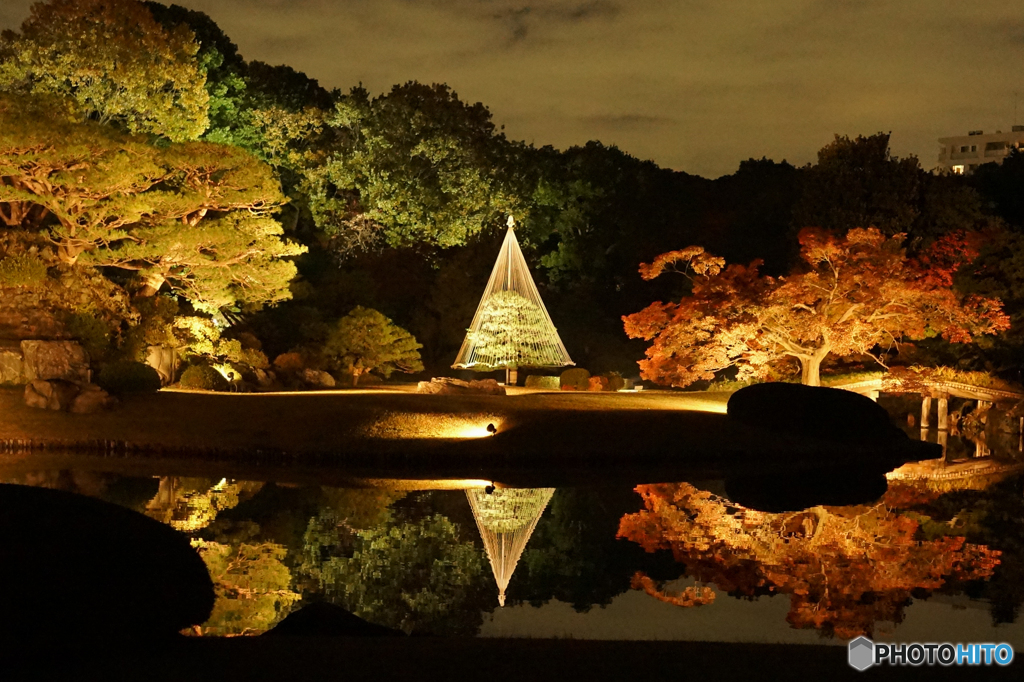 灯りに照らされた紅葉１