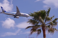 飛行機の見える公園にて１