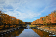 紅葉と青空