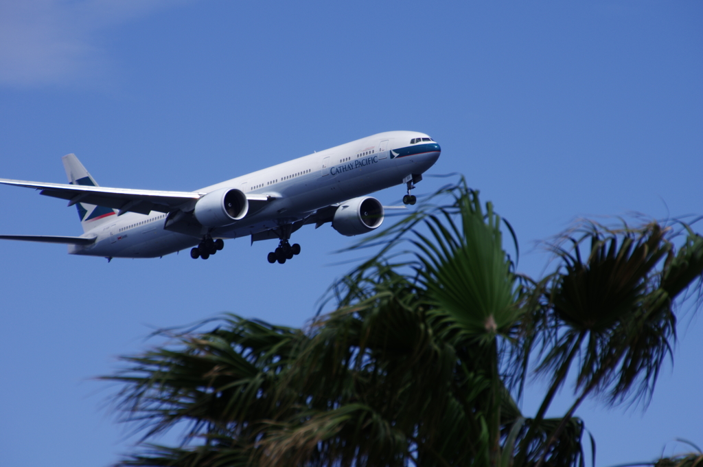 飛行機の見える公園にて２