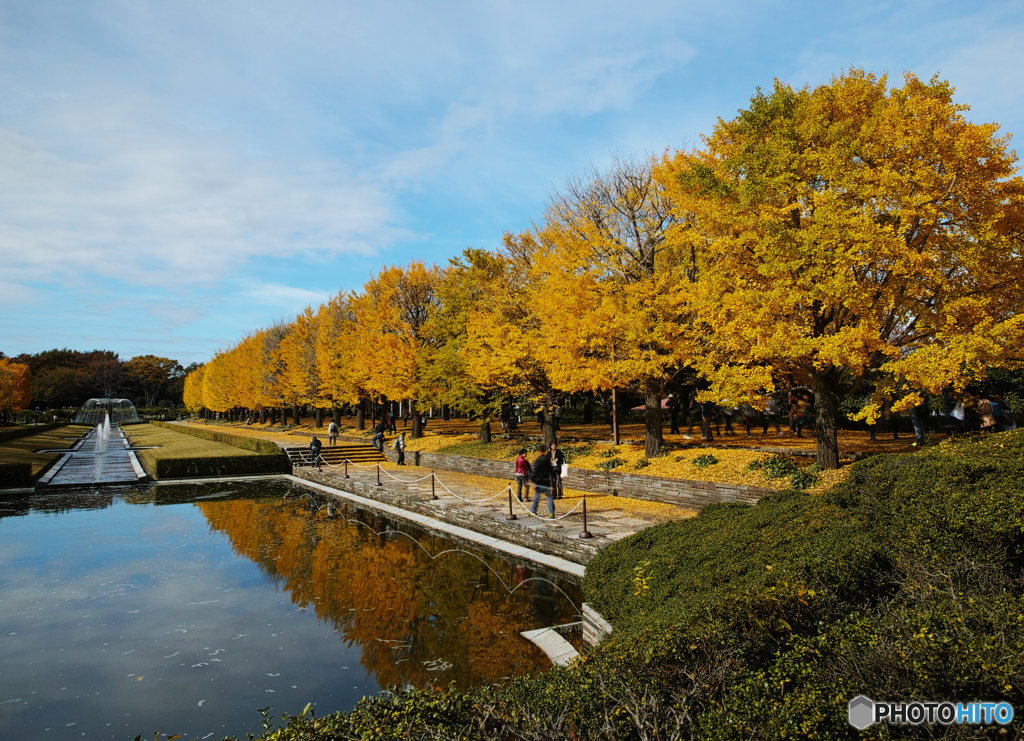 紅葉と青空２