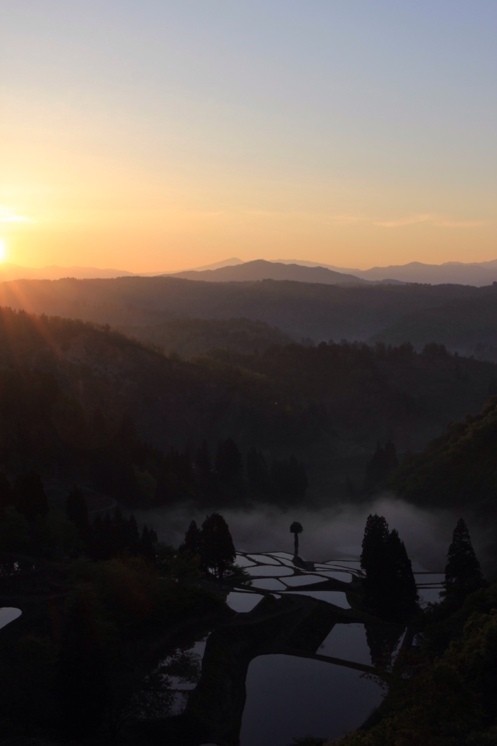 山古志 棚田