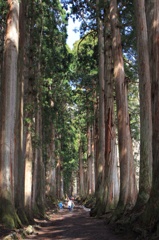 戸隠神社  奥社  道中