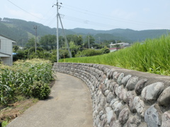 田舎道