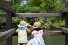 何が見える？