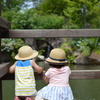 何が見える？