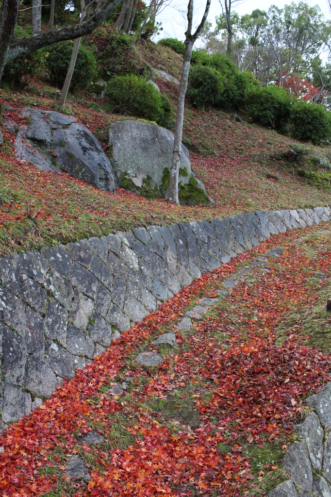 赤い坂道