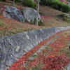 赤い坂道