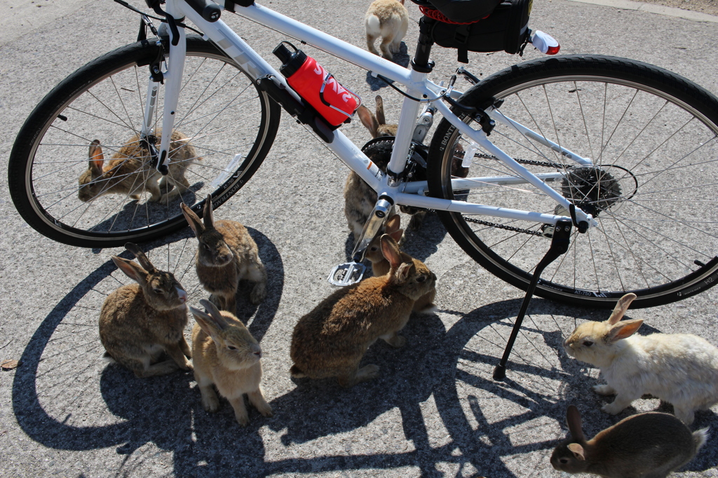 この自転車は我らが頂いた！