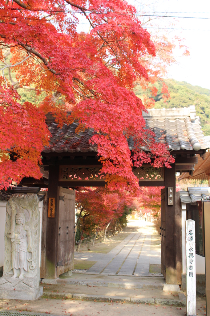 岩国の紅葉谷公園にて