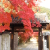 岩国の紅葉谷公園にて