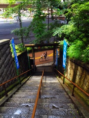 上目黒氷川神社④