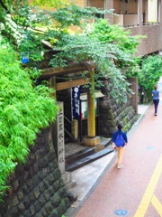 上目黒氷川神社①