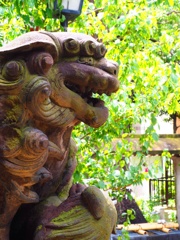 上目黒氷川神社⑧